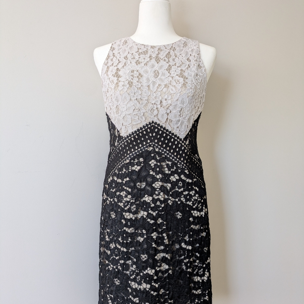 Vince Camuro Lace Black and Cream Dress